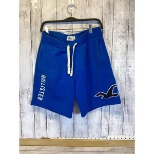 Hollister Men’s Blue Fleece Logo Sweat Shorts - Size Medium